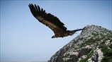 Κρήτη: Γιορτάζοντας την Παγκόσμια Ημέρα Βιοποικιλότητας
