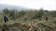 Σέρρες: Αγνοείται 70χρονος κτηνοτρόφος από το Αχλαδοχώρι