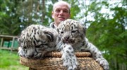 Νεαρές λεοπαρδάλεις σε ζωολογικό πάρκο της Γερμανίας