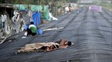 Ινδία: Πλησιάζουν τους 2.000 οι νεκροί από το κύμα καύσωνα