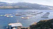 Ελληνικές Ιχθυοκαλλιέργειες: Προσωρινή αναστολή διαπραγμάτευσης