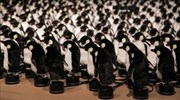 Διαδραστικός «καθρέφτης» από περιστρεφόμενους πιγκουίνους