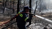Καλύτερη η εικόνα στο πύρινο μέτωπο της Λέσβου