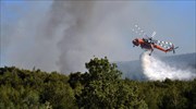Οριοθετήθηκε η πυρκαγιά στον Προφήτη Ηλία Βιλίων