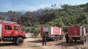 Πυρκαγιά στις παρυφές των Τουρκοβουνίων στο Γαλάτσι