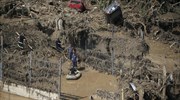 Το λιοντάρι που ξέφυγε στη Γεωργία σκότωσε άνθρωπο