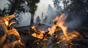 ΗΠΑ: Πυρκαγιά στο Εθνικό πάρκο Σαν Μπερναντίνο