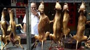 Κίνα: Ακτιβιστές ενάντια στο φεστιβάλ γαστρονομίας με κρέας σκύλου