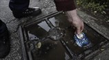 Το 24ωρο ενός ανέργου