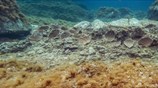 Νέα ευρήματα στη βορειοανατολική πλευρά της Δήλου