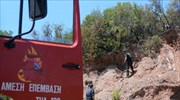 Νεκρός με εκτεταμένα εγκαύματα πυροσβέστης στον Μυλοπόταμο Ρεθύμνου