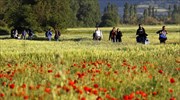 Η πλειοψηφία των Ιρλανδών υπέρ της νομιμοποίησης των παράτυπων μεταναστών