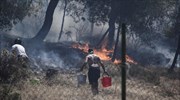 Μέτρα προστασίας όταν η φωτιά πλησιάζει σε σπίτια