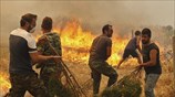 Πυρκαγιά και στη Νεάπολη Λακωνίας