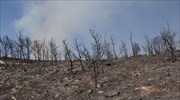 Σε εξέλιξη αλλά με καλύτερη εικόνα οι πυρκαγιές σε Υμηττό, Λακωνία, Μαλακάσα, Κορινθία