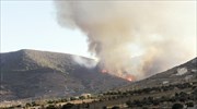 Ηλεία: Πυρκαγιά στην περιοχή Μελίσσα