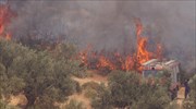 Πυρκαγιά σε δασική έκταση στο Καλαμάκι Ζακύνθου