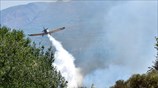Πυρκαγιά στο Μαλανδρένι Αργολίδας
