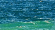 Γλυφάδα: Βρέθηκε χειροβομβίδα μέσα στη θάλασσα