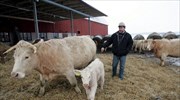 Πρόταση για «φόρο κρέατος» στις σουηδικές φάρμες