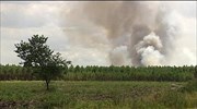 Γαλλία: Πυρκαγιά σε δάσος στο Μπορντό