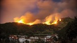 Γαλικία: Πυρκαγιά σε δασική έκταση