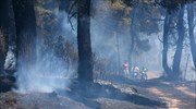 Δεν απειλεί κατοικημένη περιοχή η πυρκαγιά στο Μαρκόπουλο