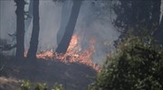 Σε ύφεση τα πύρινα μέτωπα στην Ηλεία