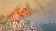 Πυρκαγιά σε δασική έκταση στα Καλάβρυτα