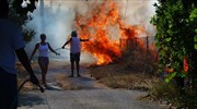 Σε ύφεση η πυρκαγιά στην Κύρα Βρύση Ισθμίων