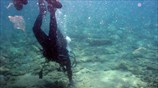 Πόρο Ελούντας: Kατάλοιπα βυθισμένου Ελληνιστικού τείχους