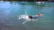 Μαθήματα κολύμβησης σε έναν σκύλο