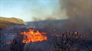 Χιλιάδες στρέμματα στάχτη στη Λέσβο