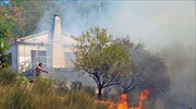 Μαίνεται η φωτιά στη Φωκίδα, σε ύφεση η πυρκαγιά στην Αχαΐα