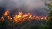 Υπό μερικό έλεγχο η πυρκαγιά στο Σκορδίλο Σητείας